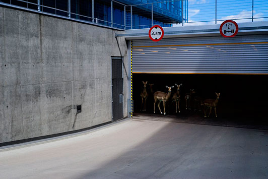 Johan Rosenmunthe THE ISLE OF HUMAN #7 2007 digital C-print 80 X 120 cm edition 2/3 (+ 1 A.P.)
