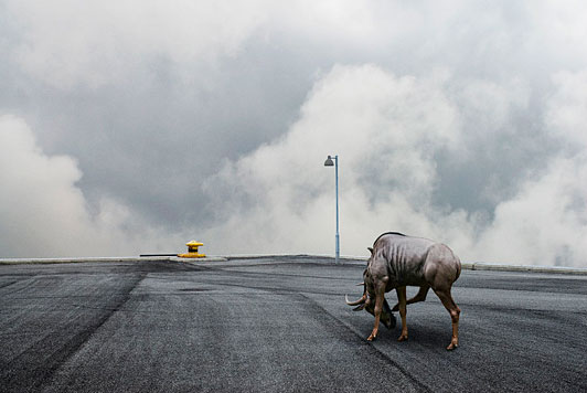 Johan Rosenmunthe THE ISLE OF HUMAN #12 2007 digital C-print 80 X 120 cm edition 2/3 (+ 1 A.P.)