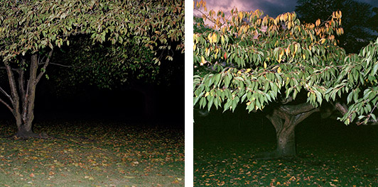 left: Titika Røtkjær Uden Titel 2006-07, foto 72,5x71,5 cm ed. 3 right: Titika Røtkjær Uden Titel 2006-07, foto 73 x 71,5 cm ed. 3