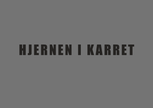 HJERNEN I KARRET (BRAIN IN A VAT)