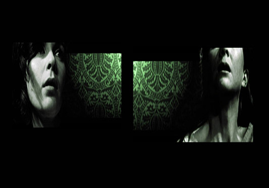 Berit Basten IN THE DARK - alone with all of her 2006 dual screen presentation dvd 1: ’Theo’ 60min loop, dvd 2: ’Eleanor’ 60min loop Image format: dv-pal 4:3 Edition: 3 (+1 A.P)
