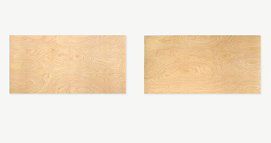 Honza Double Standard (nr.1) 2006 oil and acrylic on canvas 122 x 244 cm