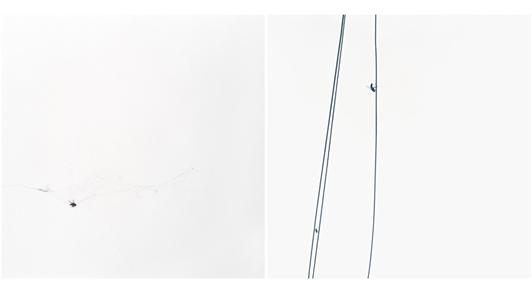 Christina Dimitriadis The Trap 2007 No. 1 and 2 in a series of 4 Lambda prints 70 x 70 cm edition 3