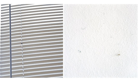 Christina Dimitriadis The Trap 2007 No. 3 and 4 in a series of 4 Lambda prints 70 x 70 cm edition 3