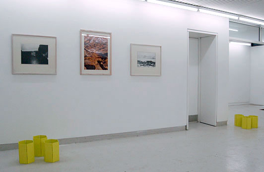 Arbejder fra tresserne. Installationview