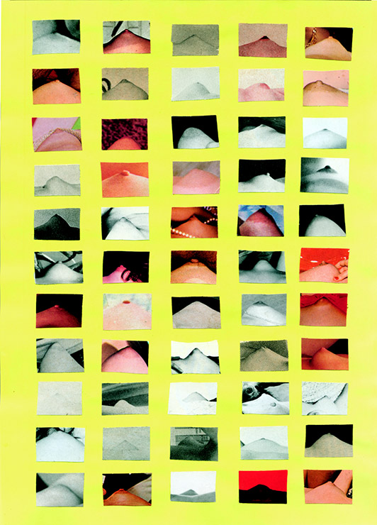 Jesper Fabricius 55 views of Mt. Fuji 2008 Collage 30 x 21 cm