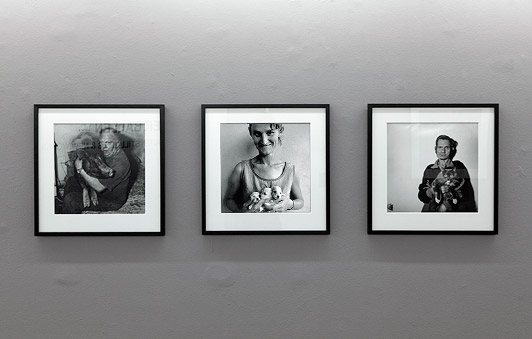 Installation view