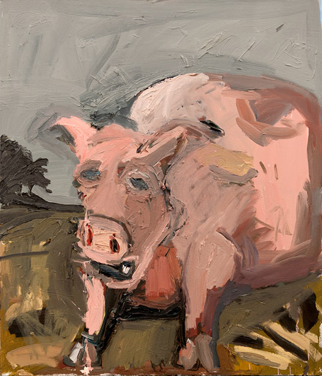 Dan Schein Arthritic Swine 2011 Oil on canvas 70 x 60 cm