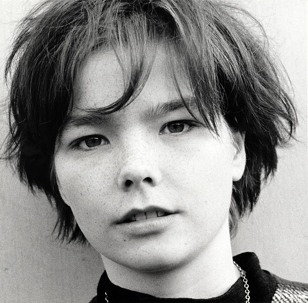 Lars Schwander: Bjørk. 1985