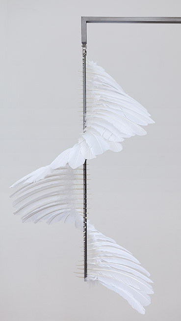 Henrik Menné Fjerstativ (Feathers Tripod) (detail) 2012 Feather, iron, teak, and video (as documentation) 192 x 185 x 80 cm