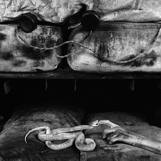 Roger Ballen Bite 2007 silver gelatin print 80 x 80 cm ed. 10
