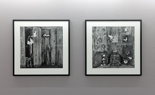 Installation view