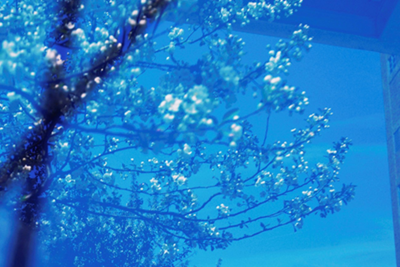Lisbet Nielsen: Blue. Archival print, 50x75 cm. 2014