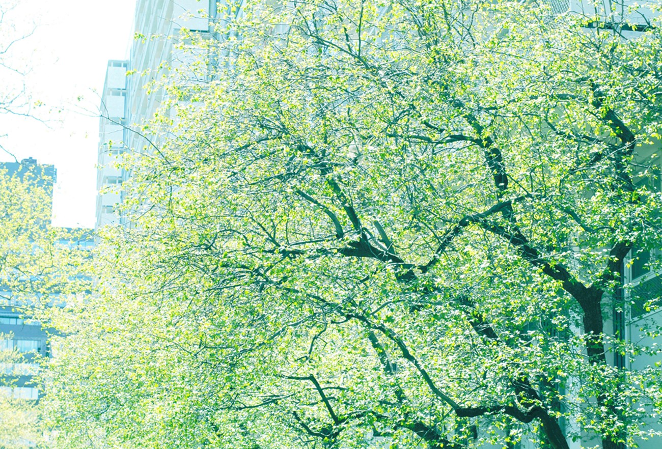 Lisbet Nielsen: Green. Archival print, 66x97 cm. 2014