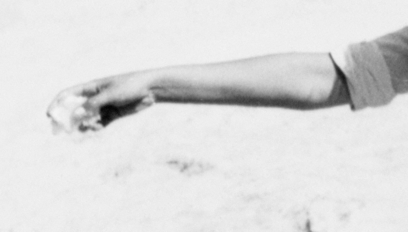 Susanne Wellm: Let It Go. Archival Pigment Print, 33,6 x 59 cm. 2015