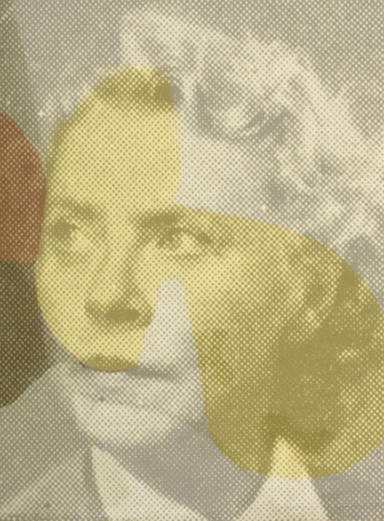 Susanne Wellm: Face in Yellow. Archival Pigment Print, 80 x 59 cm. 2015