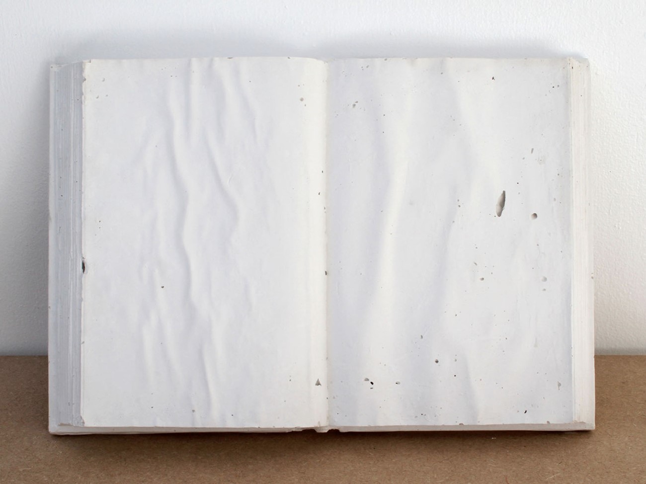 Beatrice J. L. Alexanian. Page 138-139. Plaster, 24 x 35 x 4 cm, 2013