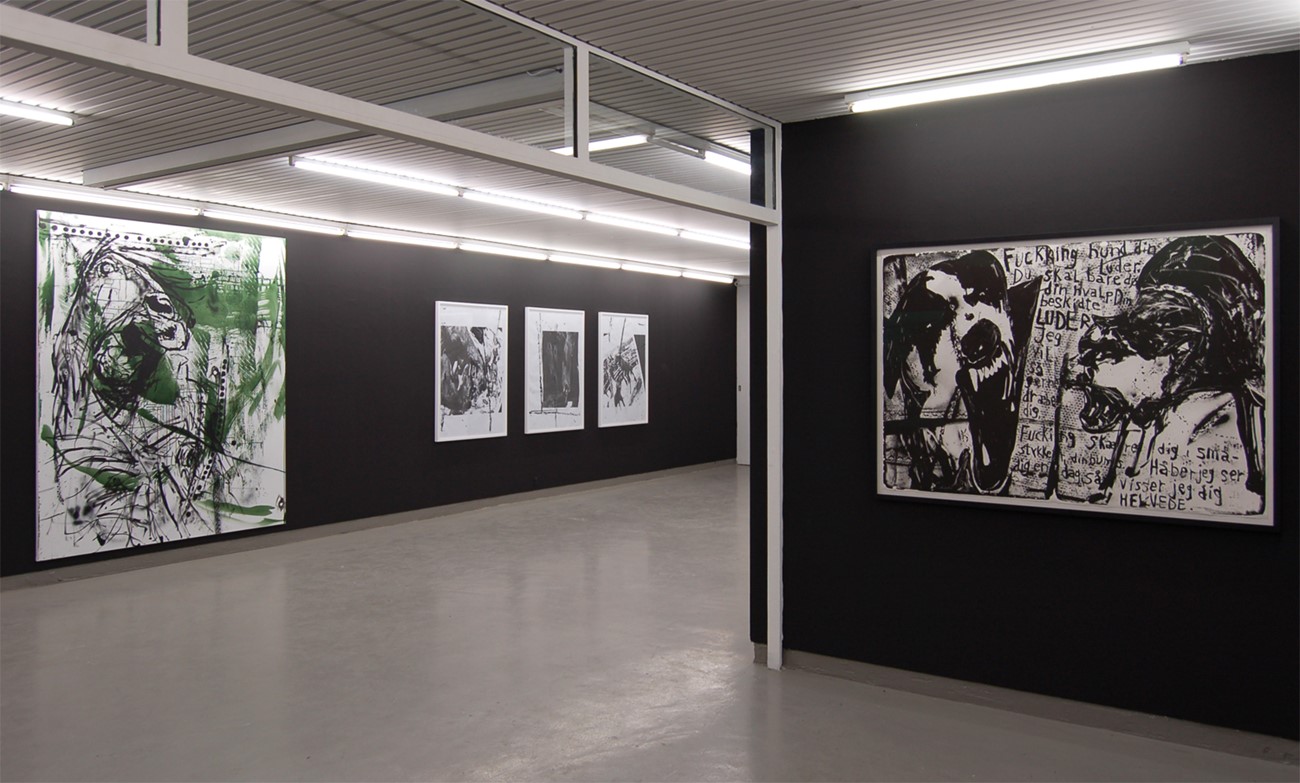 ImageGen (14) Claus Carstensen - Dyregørelser. Installation view