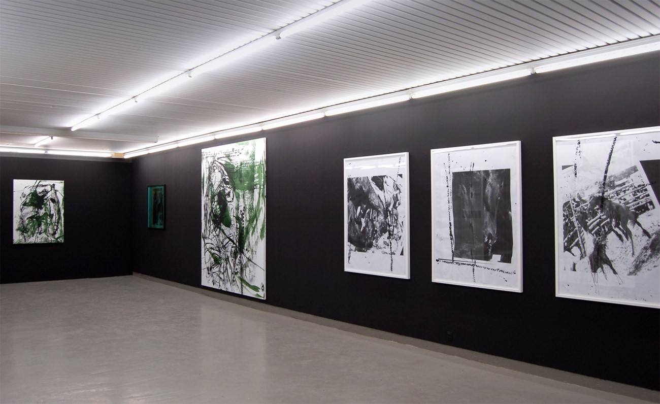 ImageGen (2) Claus Carstensen - Dyregørelser. Installation view