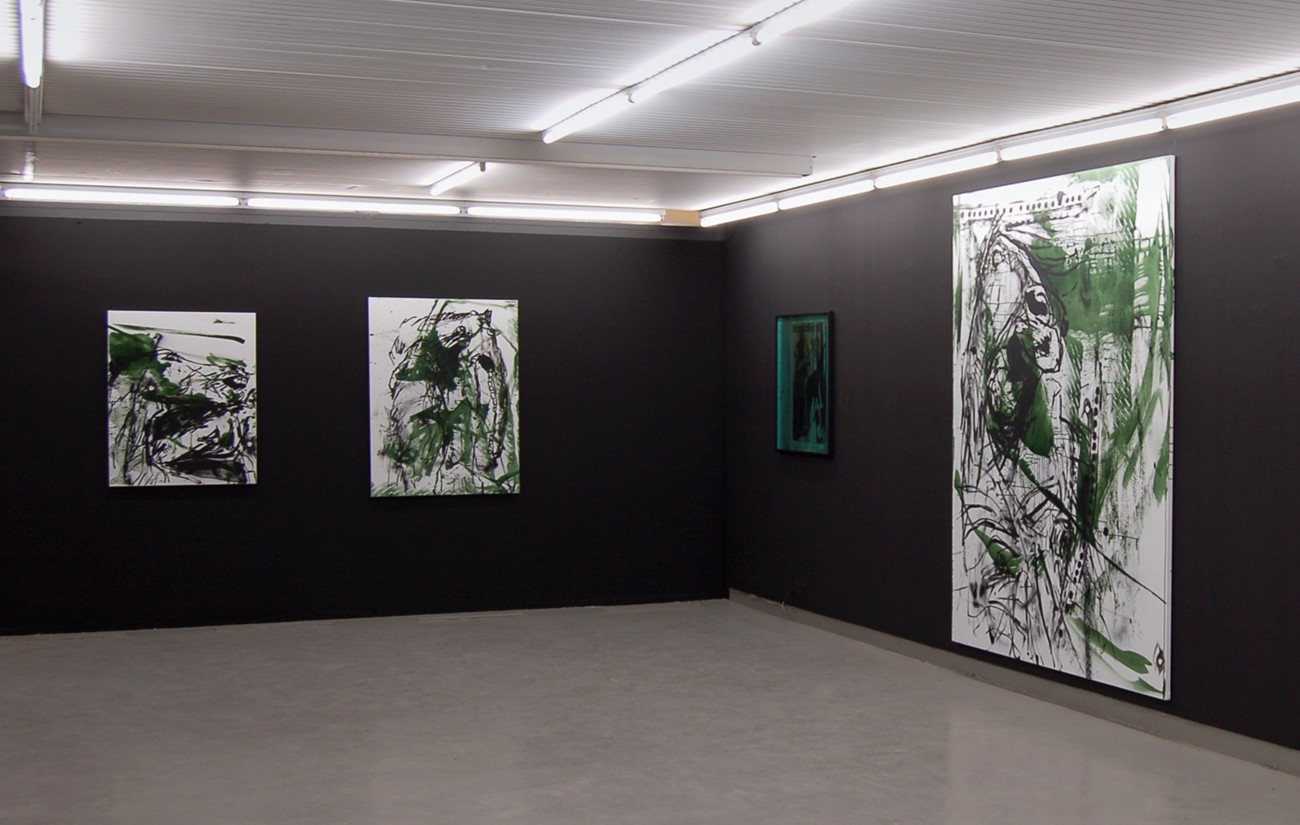 ImageGen (3) Claus Carstensen - Dyregørelser. Installation view