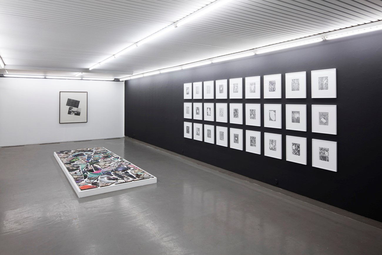 Paramnesia. Installation View.