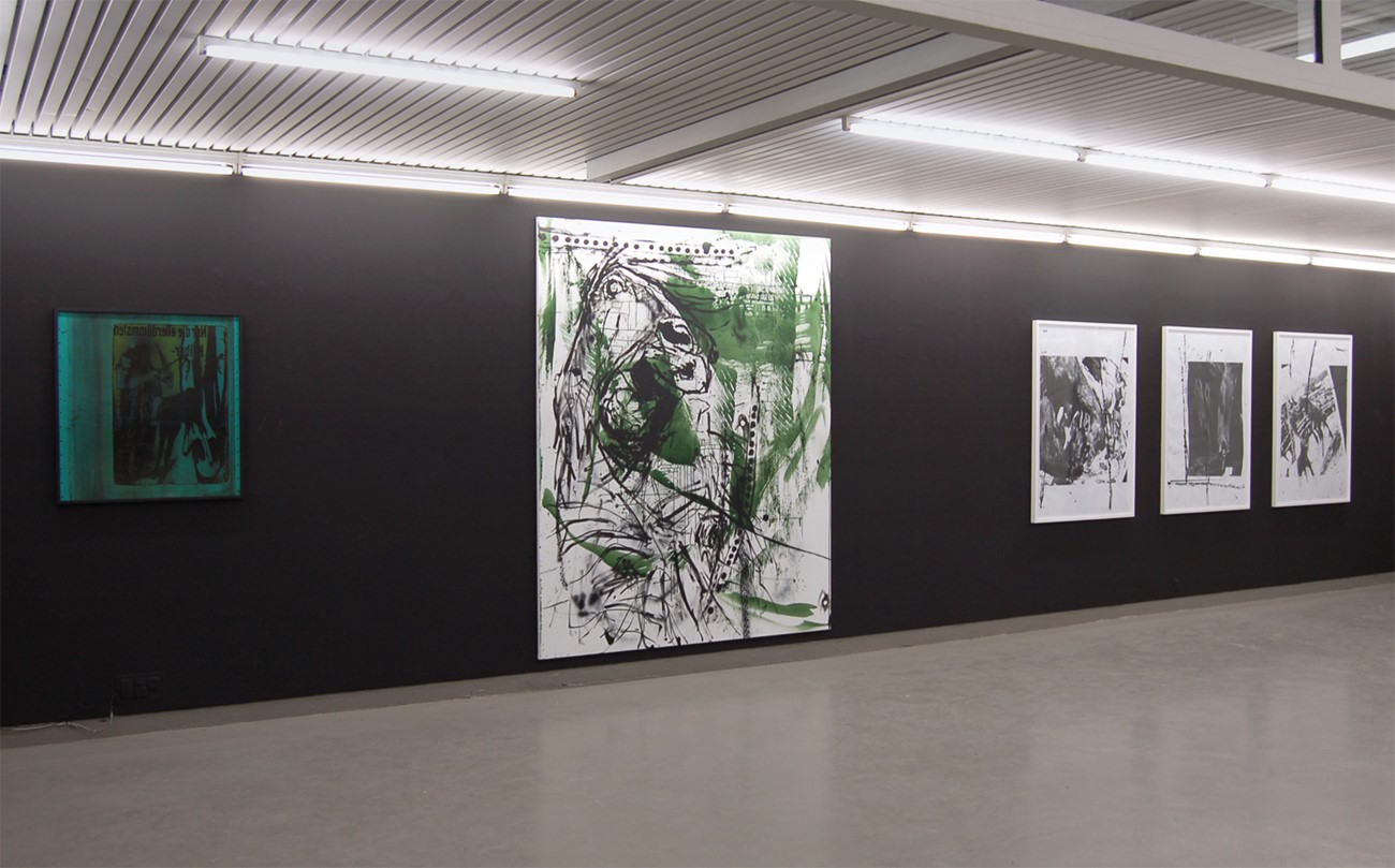 ImageGen (4) Claus Carstensen - Dyregørelser. Installation view