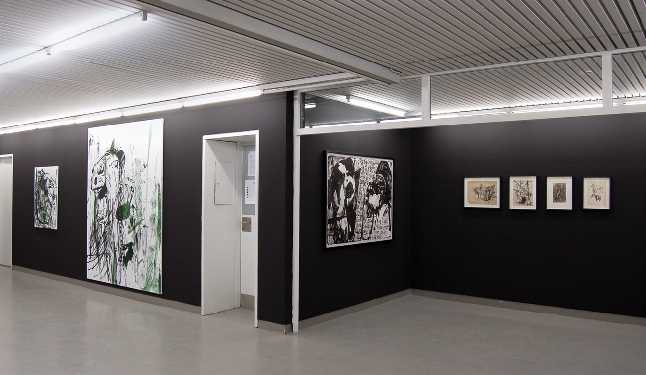 ImageGen (5) Claus Carstensen - Dyregørelser. Installation view