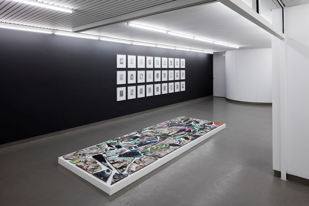 Paramnesia. Installation View.