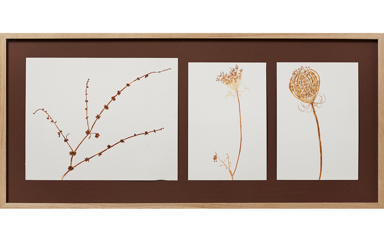 Anette Abrahamson: Bodegón (Still Life), 2012, Watercolour on paper, 34,5 x 75,5 cm