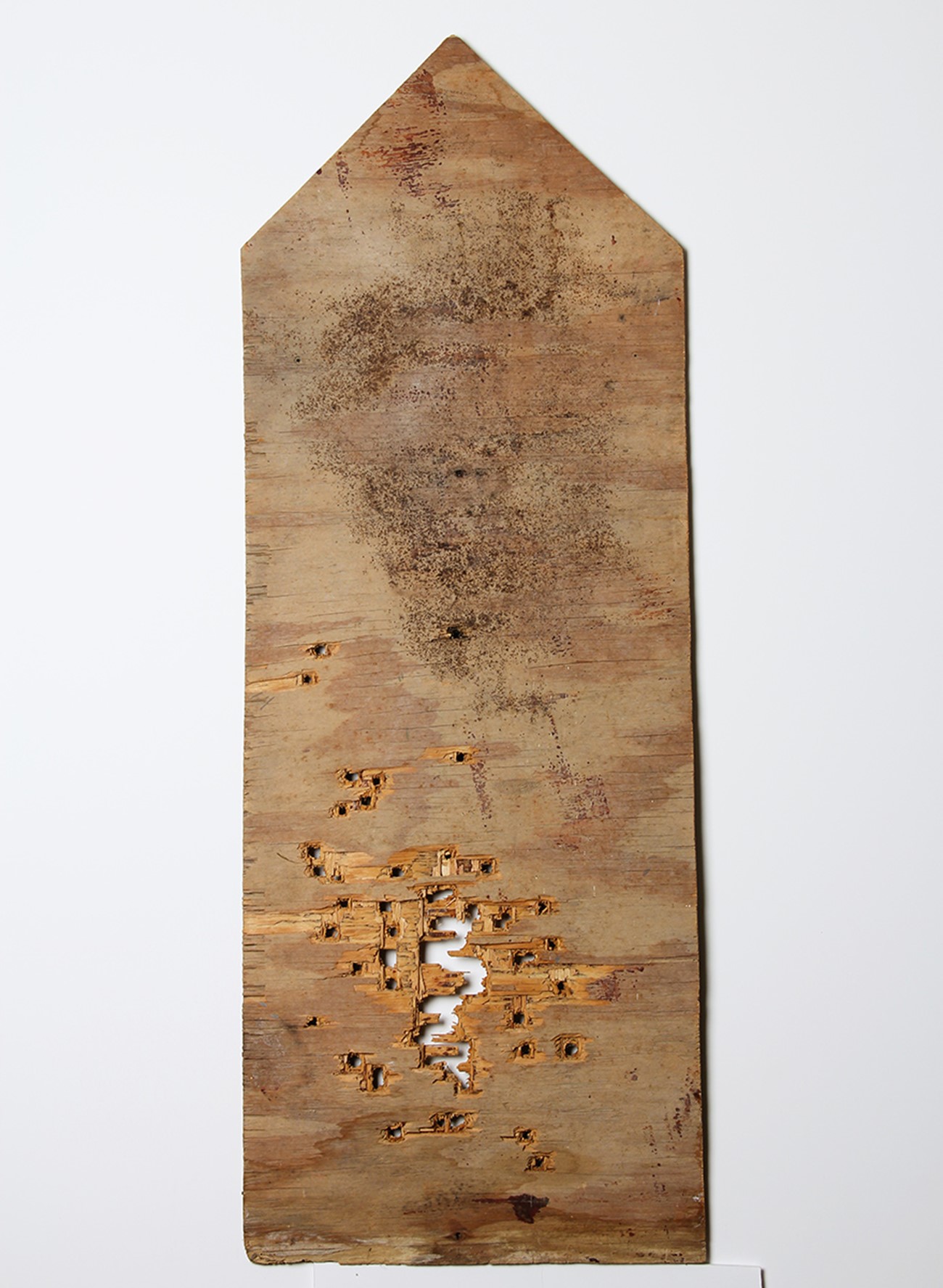 William S. Burroughs: Tombstone, 1987, Gunpowder burns and shotgun blasts on plywood, 91.4 x 30.5 cm