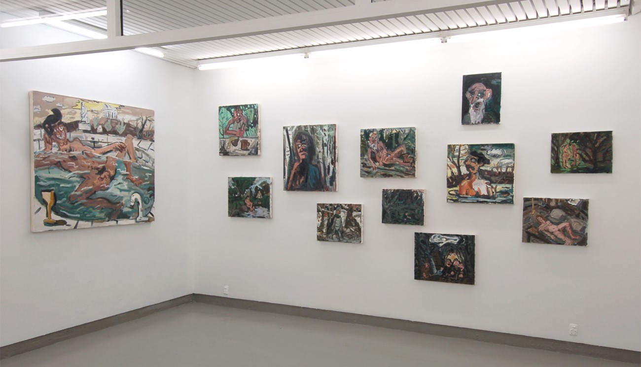 Dan Schein - Naked Pictures. Installation view