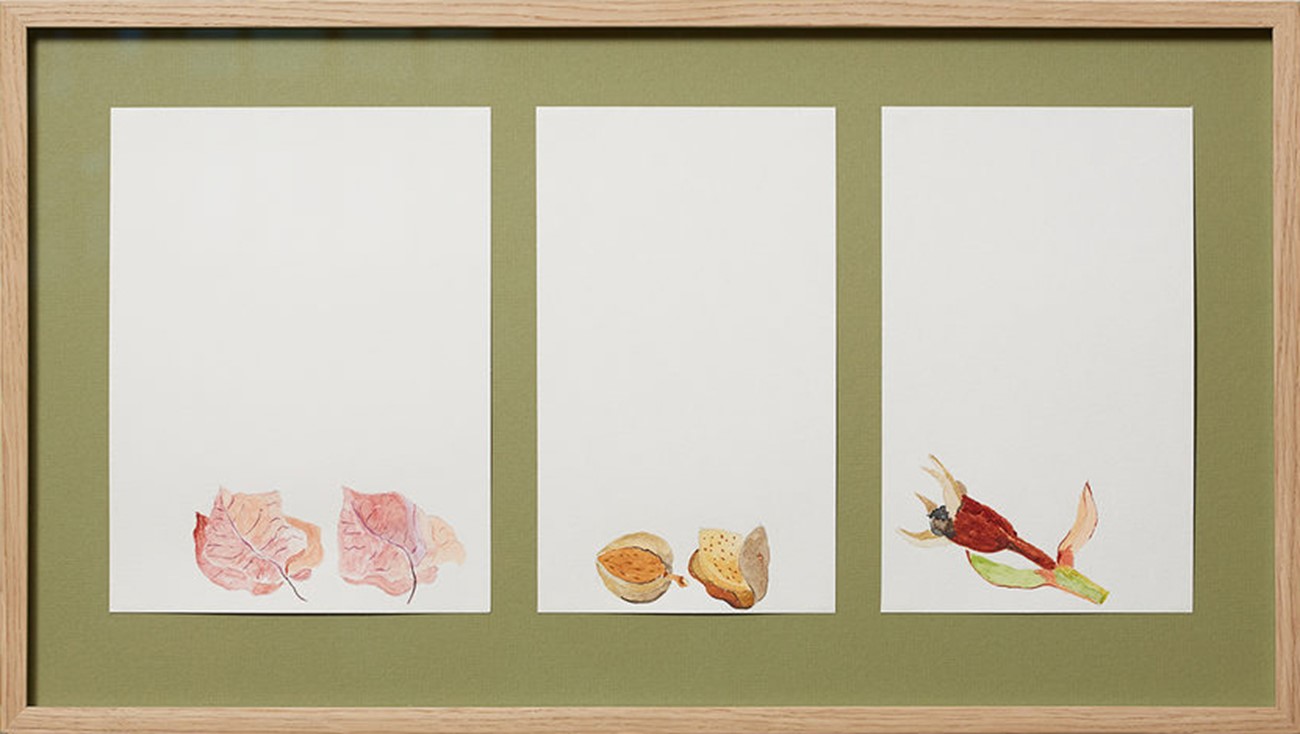 Anette Abrahamson: Bodegón (Still Life) (3), 2011, Watercolour on paper, 35 x 61 cm