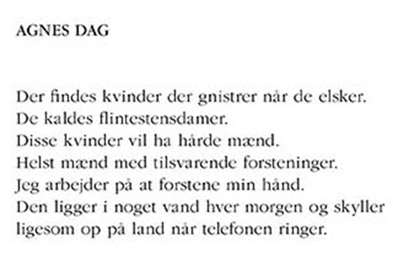 Jens Blendstrup & Lars Gundersen: AGNES DAG (detail)