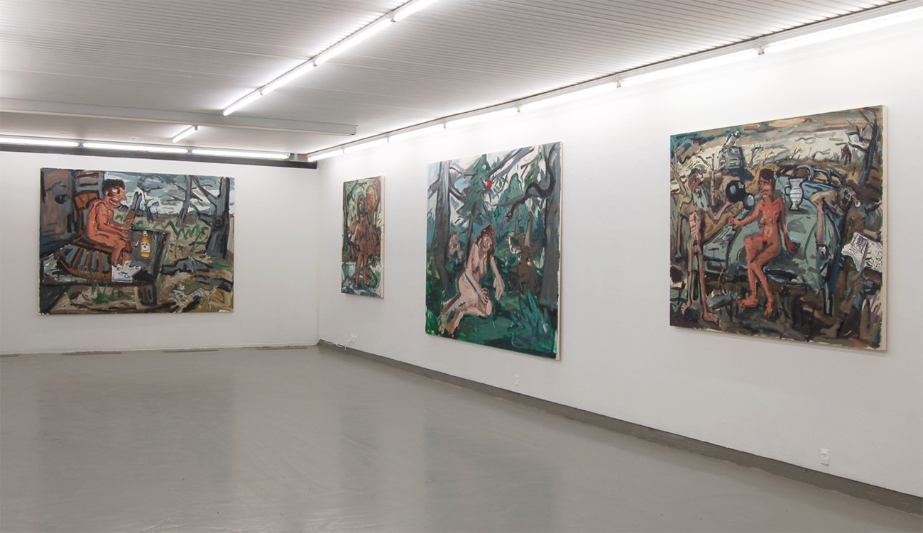 Dan Schein - Naked Pictures. Installation view