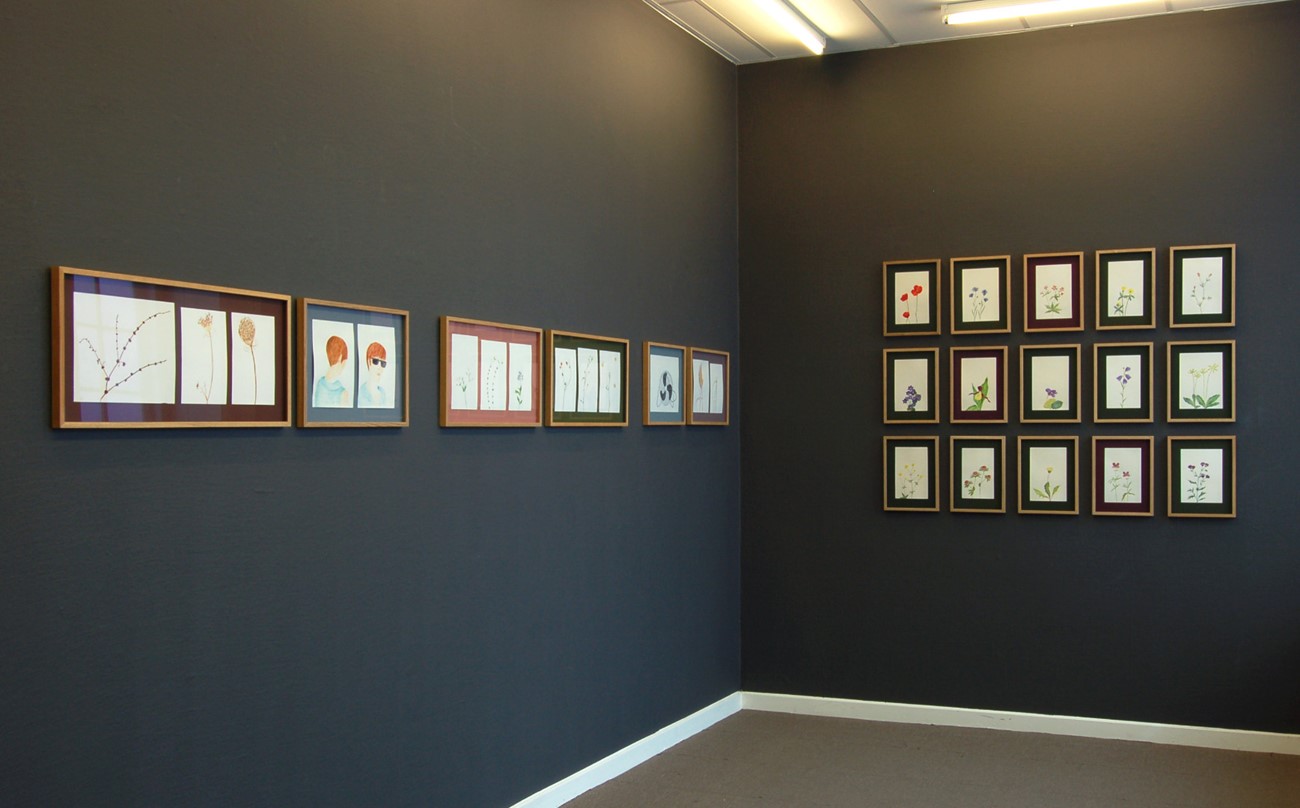 Bodegón (Still Life). Installation view