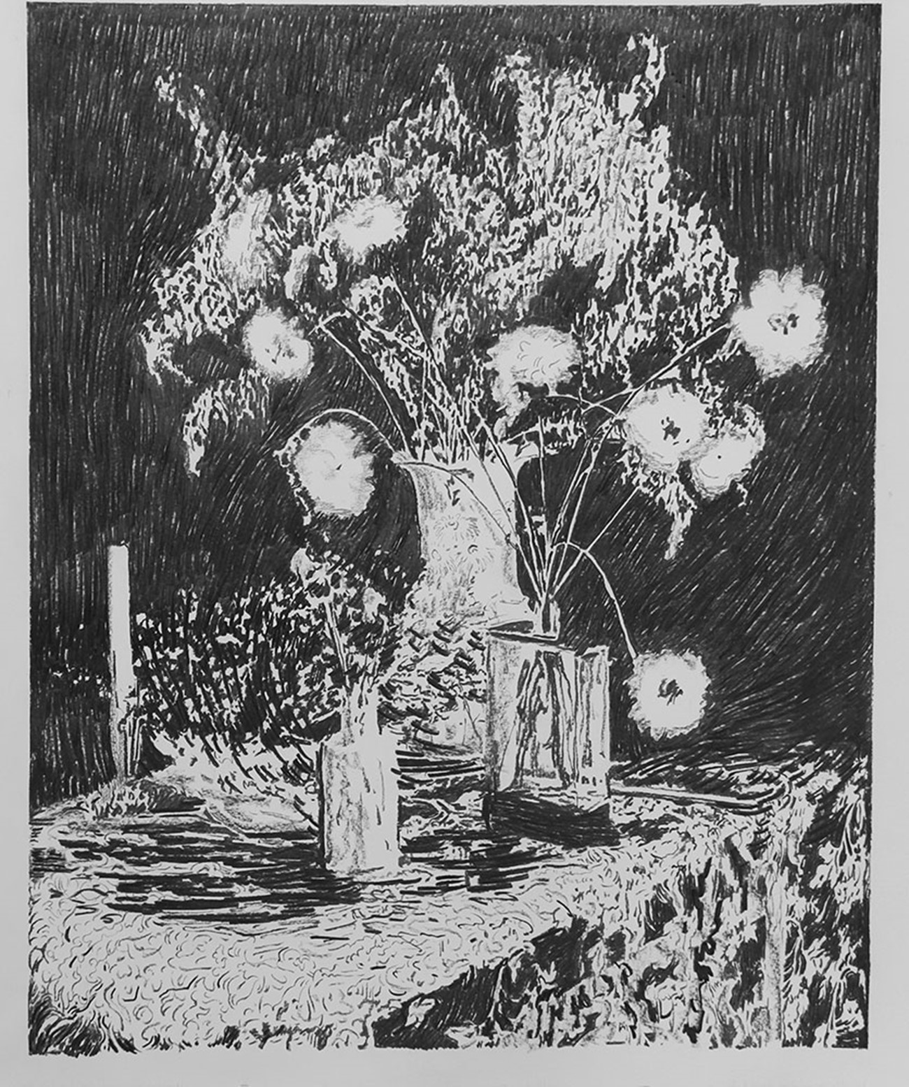 Ahmad Siyar Qasimi: Aquilegia, 2017, Charcoal on paper, 150 x 126