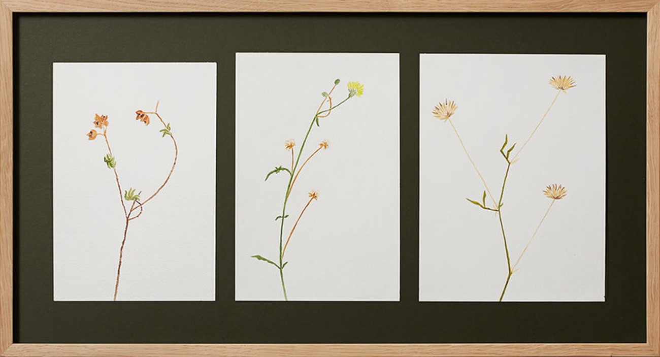 Anette Abrahamson: Bodegón (Still Life) (2), 2012, Watercolour on paper, 35 x 64 cm