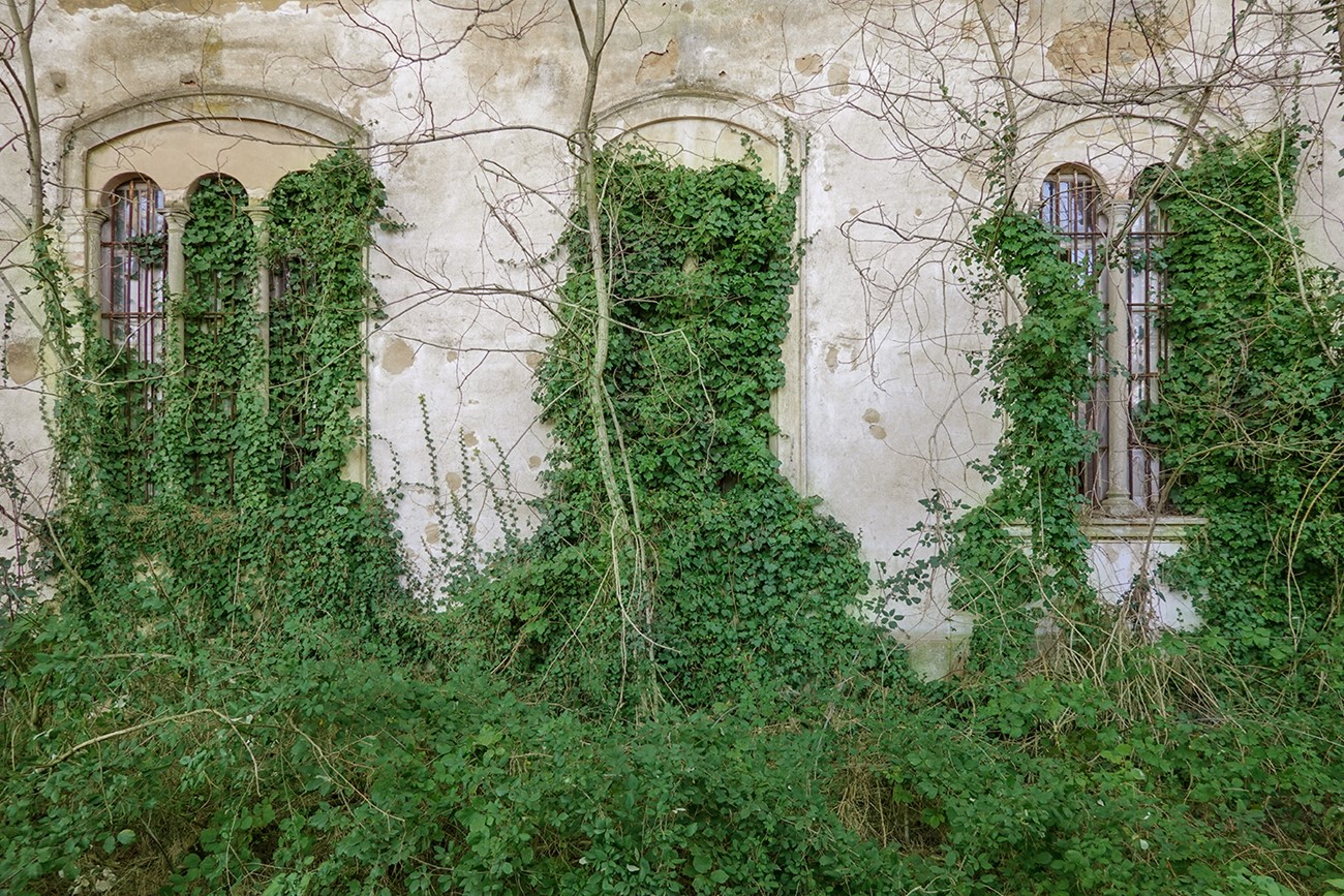 Morten Søndergaard: Volterra. Charcot (2), 2019, Inkjet print on paper