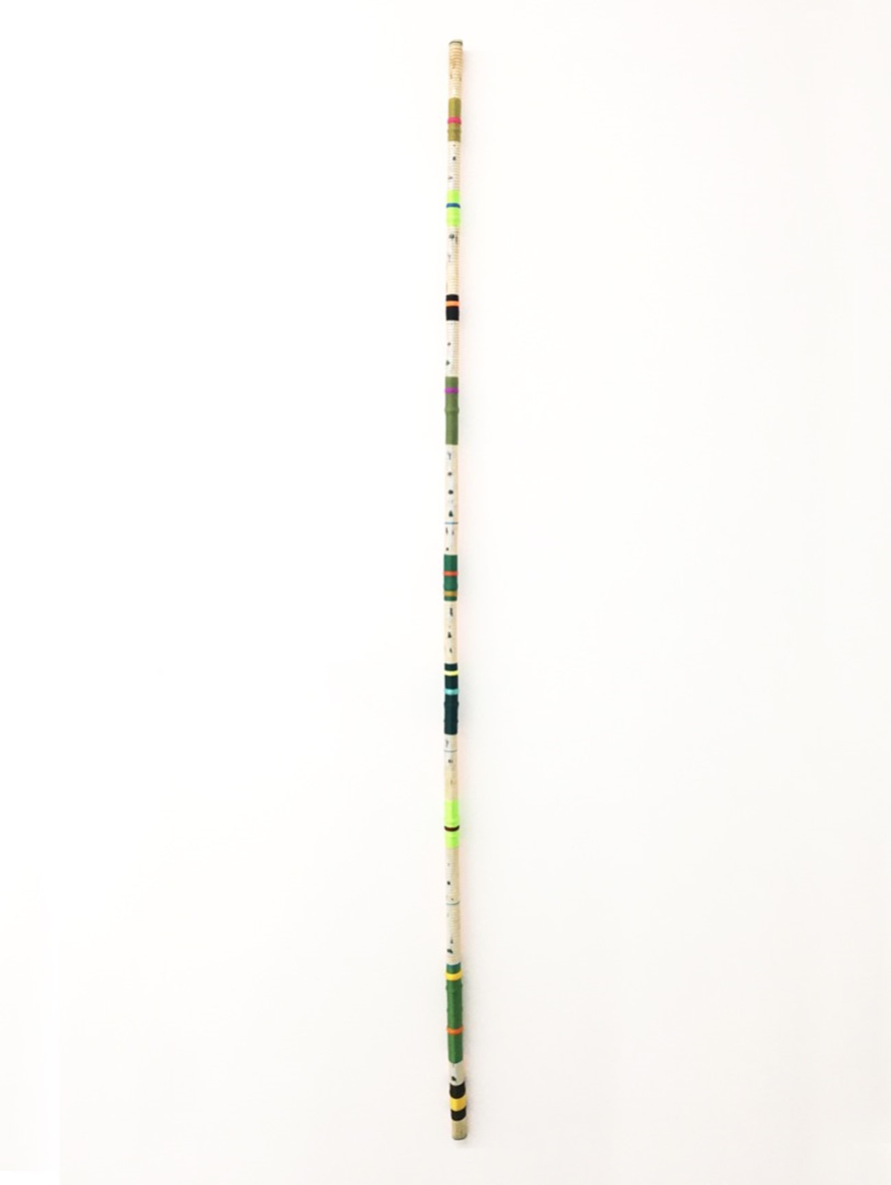 Rainforest, 2020, synthetic silk thread, photographs, fluorescent paint, poplar wood and resin, 180 x 2 cm