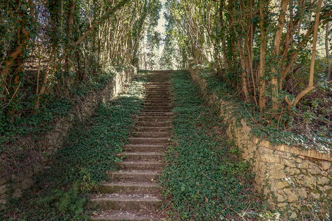 Morten Søndergaard: Volterra. Charcot, 2019, Inkjet print on paper