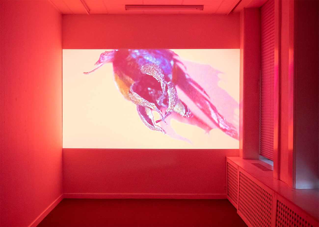 ImageGen (8) Installation view